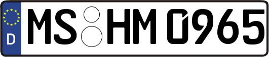 MS-HM0965