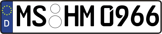 MS-HM0966