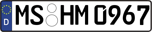 MS-HM0967