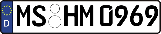 MS-HM0969