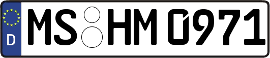 MS-HM0971