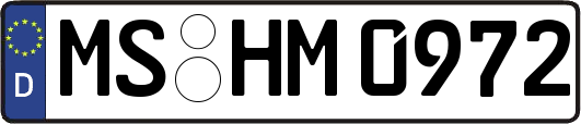 MS-HM0972