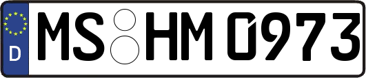 MS-HM0973