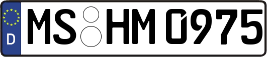 MS-HM0975