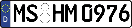 MS-HM0976