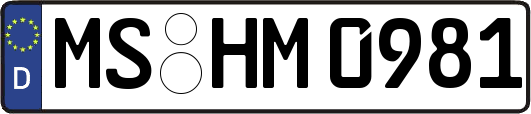 MS-HM0981