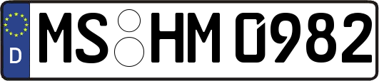 MS-HM0982
