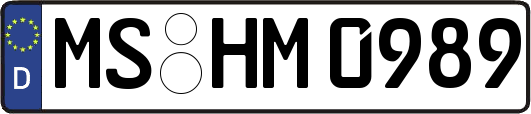 MS-HM0989