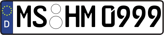 MS-HM0999