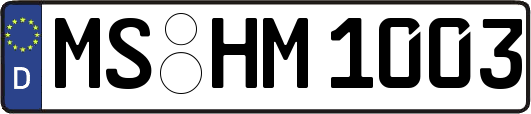 MS-HM1003
