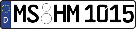 MS-HM1015