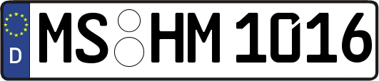 MS-HM1016