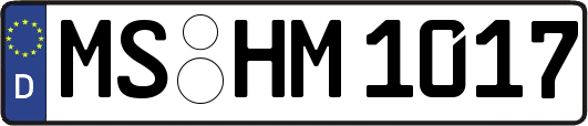 MS-HM1017