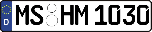 MS-HM1030