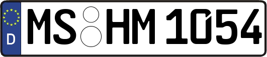 MS-HM1054