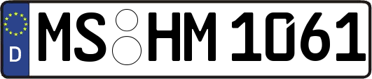 MS-HM1061