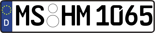 MS-HM1065