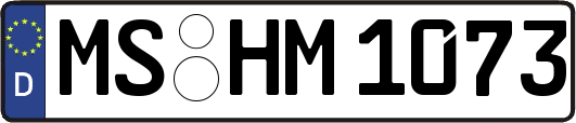 MS-HM1073