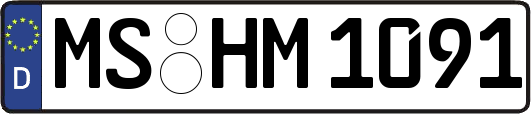 MS-HM1091