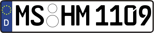 MS-HM1109