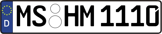 MS-HM1110