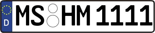 MS-HM1111