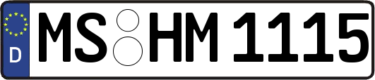 MS-HM1115