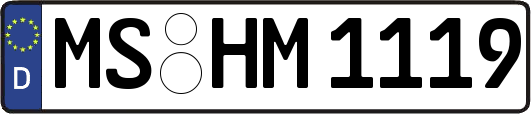 MS-HM1119