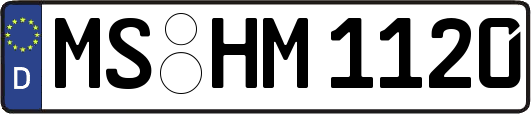 MS-HM1120