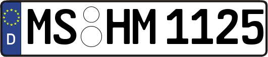 MS-HM1125