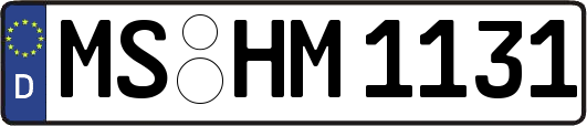 MS-HM1131