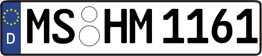 MS-HM1161