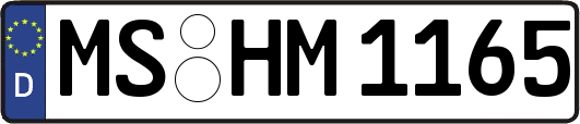 MS-HM1165