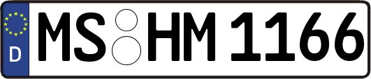 MS-HM1166