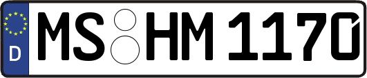 MS-HM1170
