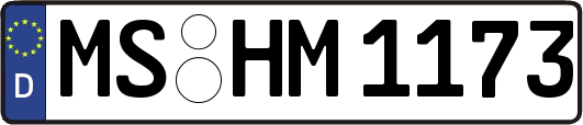 MS-HM1173