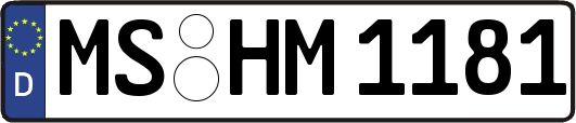 MS-HM1181