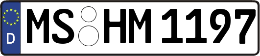 MS-HM1197