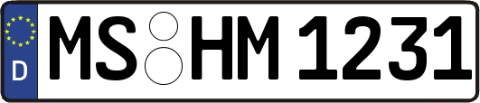 MS-HM1231