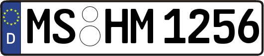MS-HM1256