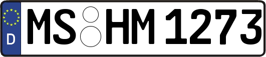MS-HM1273