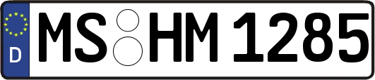 MS-HM1285