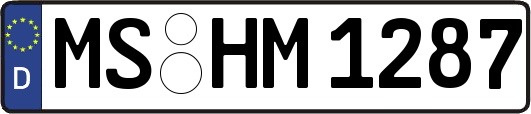 MS-HM1287