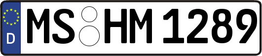 MS-HM1289