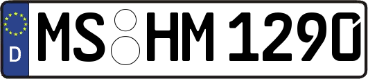 MS-HM1290
