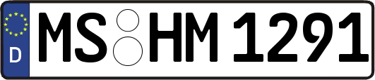 MS-HM1291