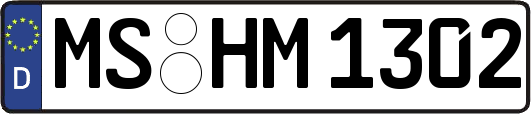 MS-HM1302
