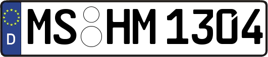 MS-HM1304