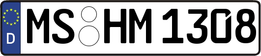 MS-HM1308