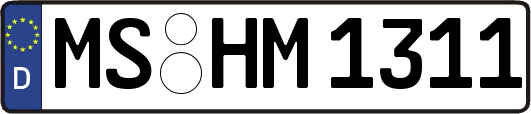 MS-HM1311